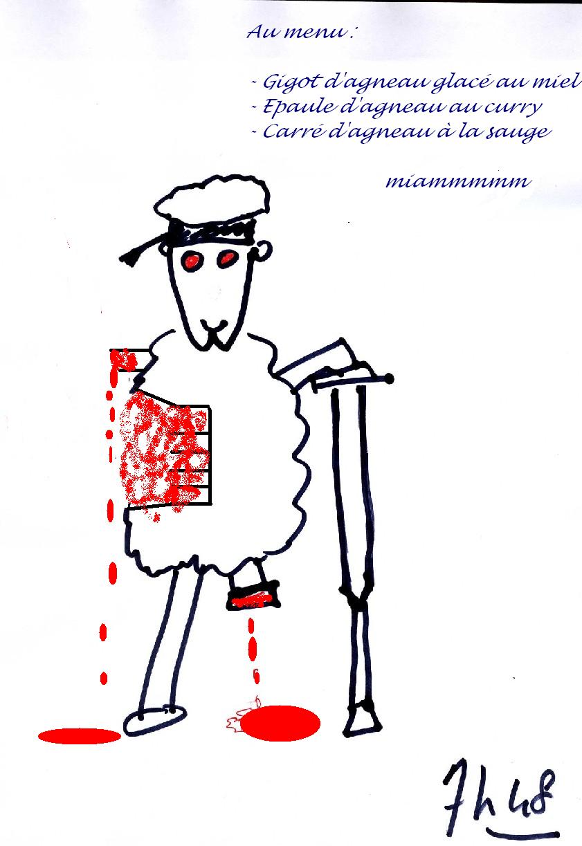 mouton2006_7h48.JPG